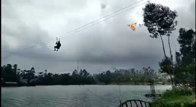 Flyingfox