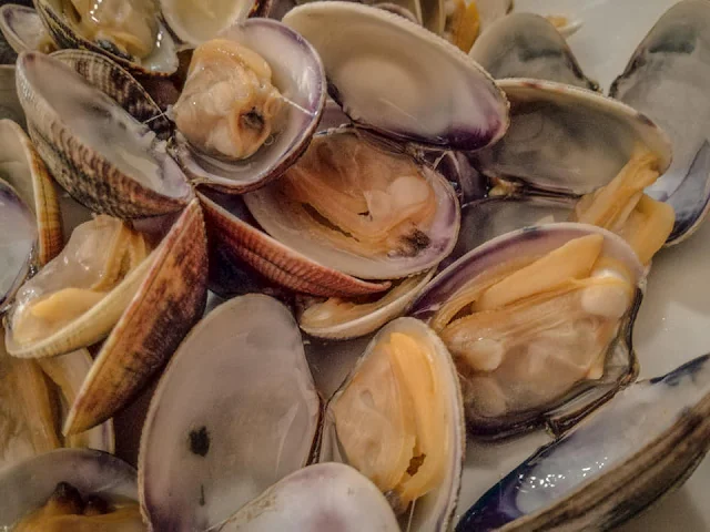 Vongole aperte dopo cottura in casseruola