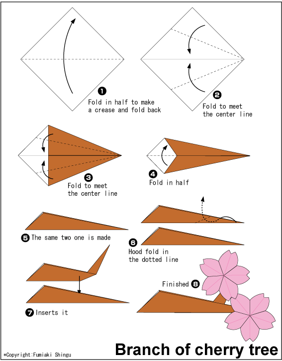  Cara  Membuat  Origami  Bunga  Sakura  Cherry Cara  Membuat  