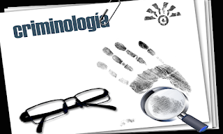 Excelente curso online sobre Criminologia