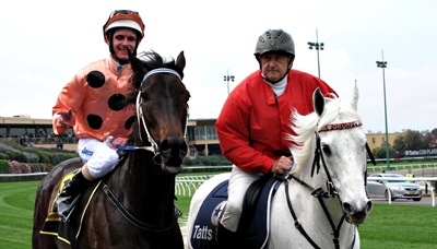 black caviar_post race_cropped