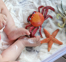 Edible Sand Beach Sensory Bin from Fun at Home with Kids