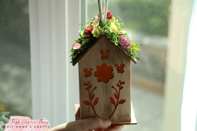 Succulent birdhouse design