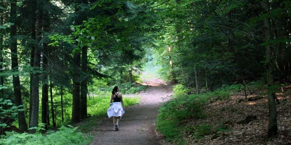 hiking in Naturpark Schwarzwald (the Black Forest)