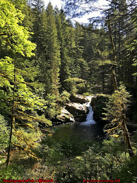 Washington Siouxon Falls