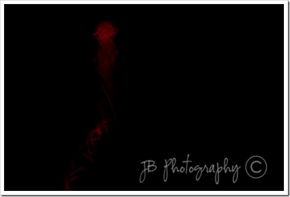 SONY DSC