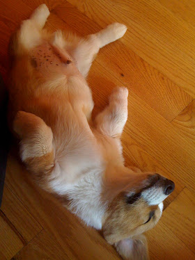 total relaxation!!!