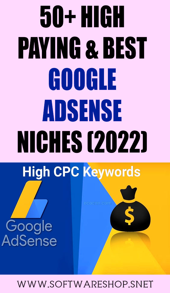 high paying google adsense niche 2022