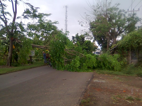 Cara Menghadapi Cuaca Ekstrim