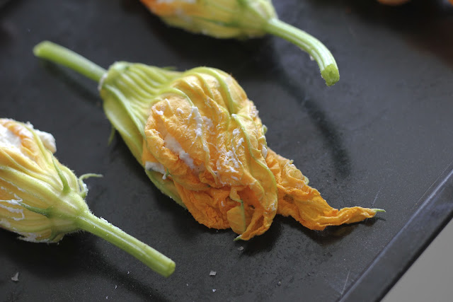 stuffed, courgette, flowers, ricotta, lemon, italy, summer, zucchini, salt, pepper, basil, roast, pine nuts, zest