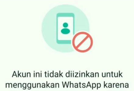 Cara Mengatasi Masalah "Akun Tidak Diizinkan untuk Menggunakan WhatsApp karena Spam"