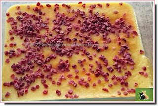 Vie quotidienne de FLaure : Flan coco - vanille parsemé de pépites de cranberries