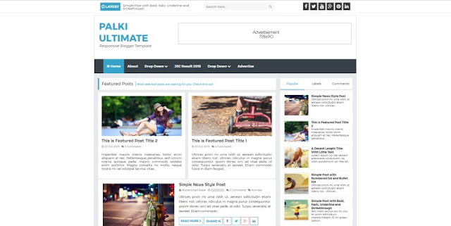 palki ultimate blogger template