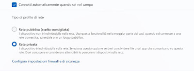 Rete pubblica Windows 11