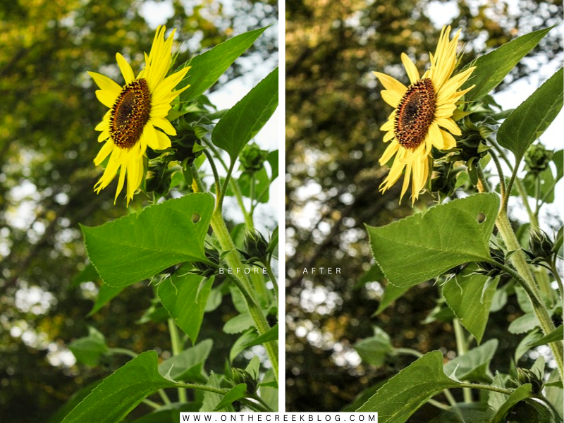 before & after edits in Lightroom | on the creek blog // www.onthecreekblog.com