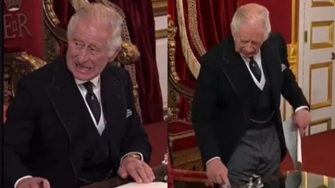 King Charles III Got A Bit Angry During The Declaration Signing