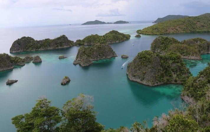 berwisata murah ke raja ampat