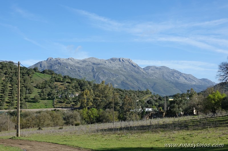 Estación de Cortes - Cañón de las Buitreras - Estación de Gaucín