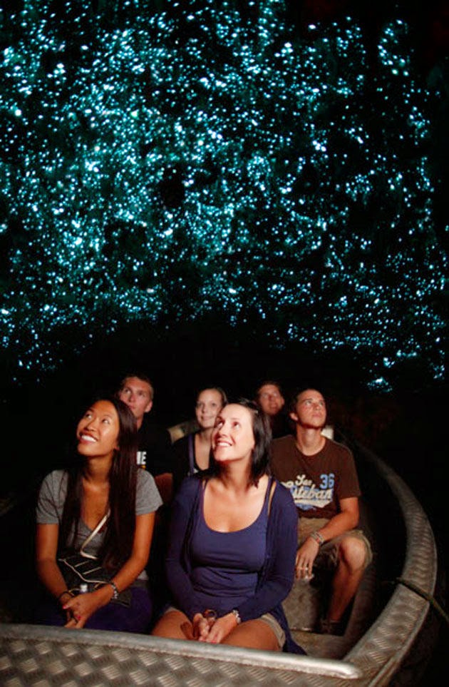 Glowworm Cave, New Zealand