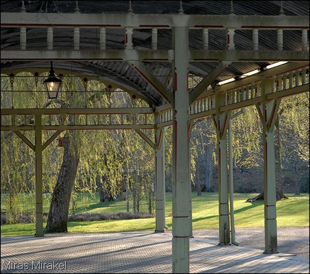 _DSC0041rb