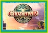 Elvenar Game Review || Elvenar Game Review 2022