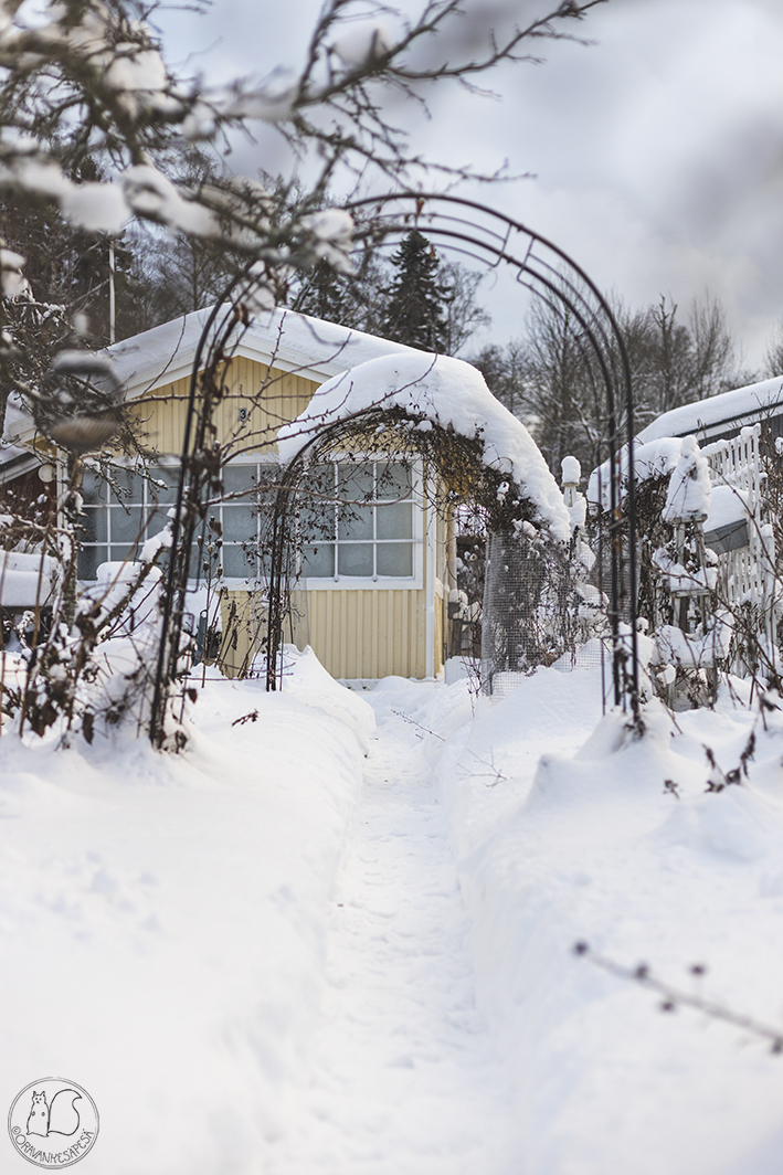 Oravankesäpesä-siirtolapuutarhapalsta ja mökki