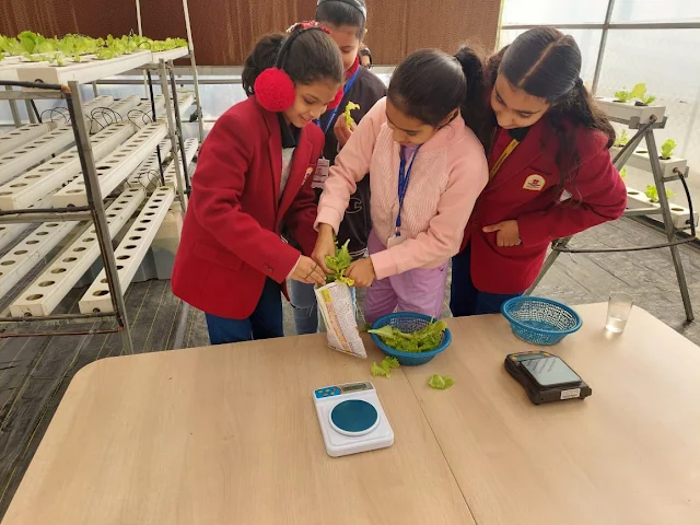 Chennai School Launches Budding Farmers Market for Students