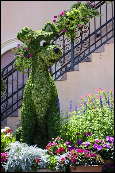 topiary 6