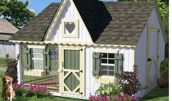 Dog-House-amarjits (12)