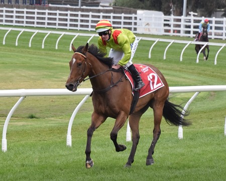 race 4_working from home 1