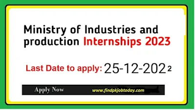 Pakistan Ministry of Industries and Production Internships