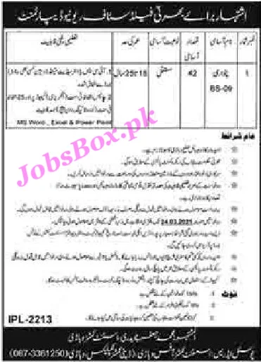 revenue-department-vehari- patwari-jobs-2021