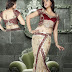 Banarasi Wedding Sarees Designs