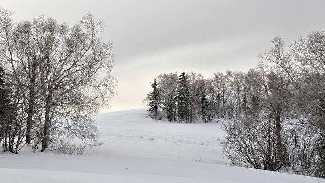 DSC_0120.JPG