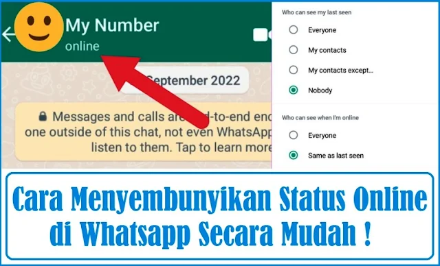 Cara Menyembunyikan Status Online di Whatsapp Mudah