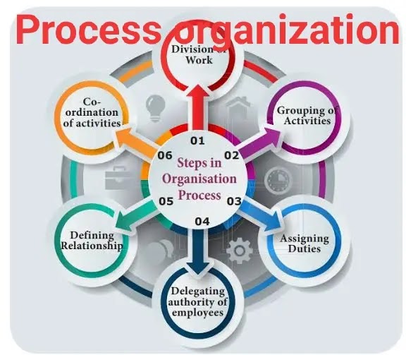 process organization