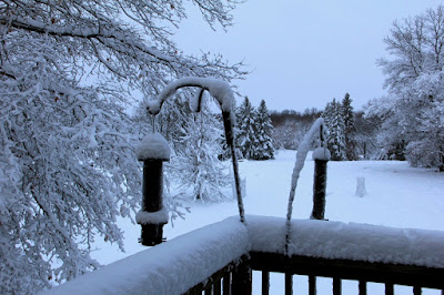 April 19, 2013 snow