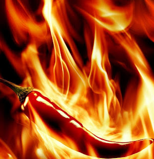 chili pepper on fire