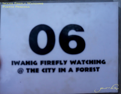 Iwahig Firefly Watching