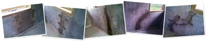 View album