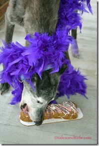 Lilac-Takes-the-Cake-427x640