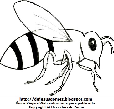 Dibujo de una abeja para colorear, pintar e imprimir. Dibujo de una abeja de Jesus Gómez