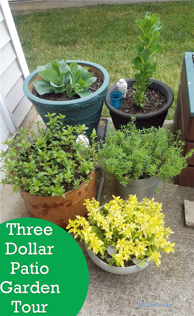 three dollar patio vegetable garden