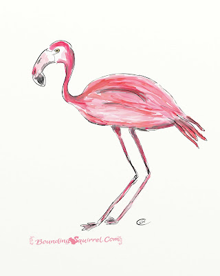 Pink flamingo drawing