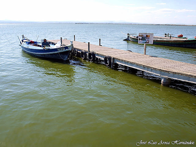 Albufera (Valencia)