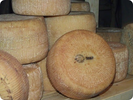 pecorino basilicata