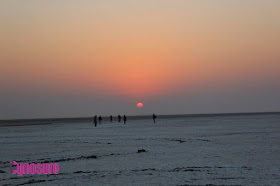 What To Do During Rann Utsav, Detailed Itinerary For A Day At The White Desert