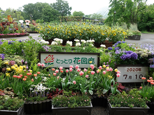 鳥取県西伯郡南部町鶴田　とっとり花回廊　エントランス展示