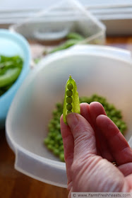 image of fresh farm share peas in their pod