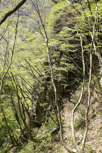 鳥取県東伯郡琴浦町山川　船上山　正面登山道